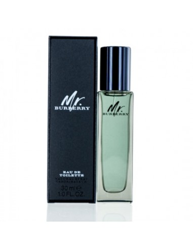 Burberry Mr. Burberry EDT Spray les ctes