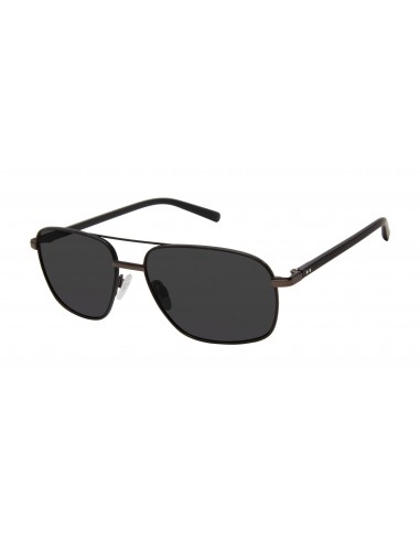 Ted Baker TMS129 Sunglasses en stock