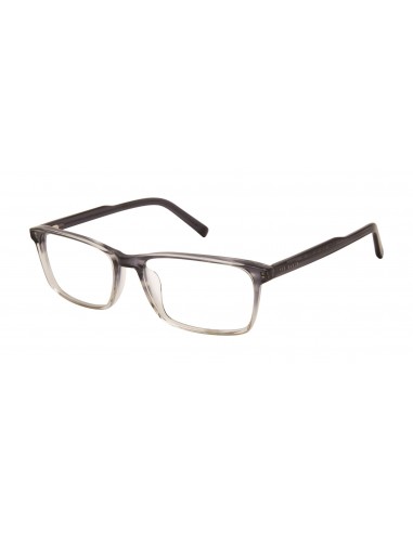 Ted Baker TXL006 Eyeglasses en stock