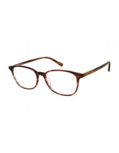 Aristar AR18439 Eyeglasses offre 