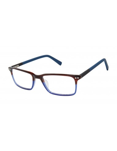 Ted Baker B972 Eyeglasses prix pour 