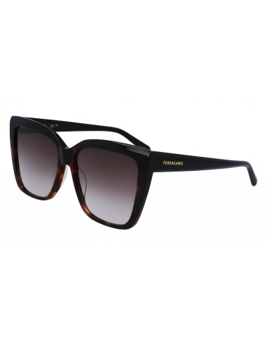 Salvatore Ferragamo SF1102S Sunglasses Les êtres humains sont 