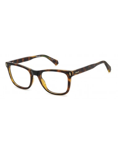 Polaroid Core PLDD511 Eyeglasses acheter